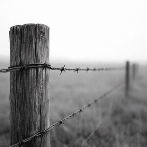 Rustic Gray Barbed Wire Wooden Fence Art Photo Print 8x10
